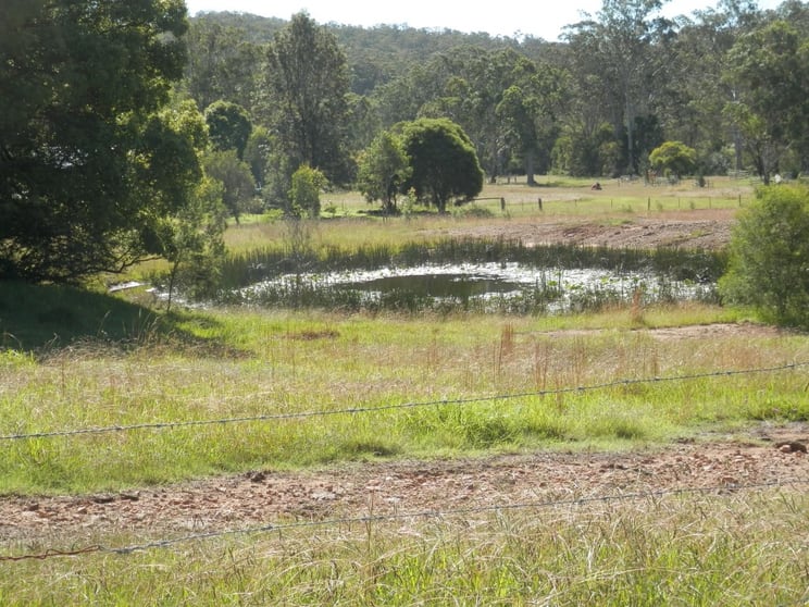 Click to view all images 7644 Bruxner Hwy Drake NSW 2469 - Image 1