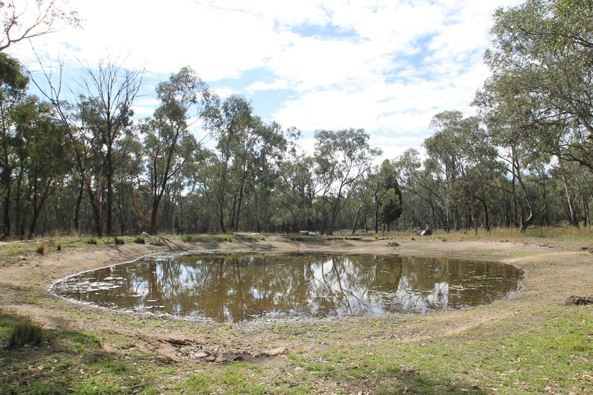 Click to view all images 198 Cypress Drive Mudgee NSW 2850 - Image 1