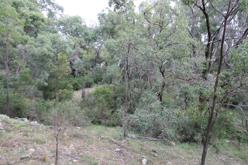 Click to view all images 45 Kurrajong Lane Mudgee NSW 2850 - Image 2