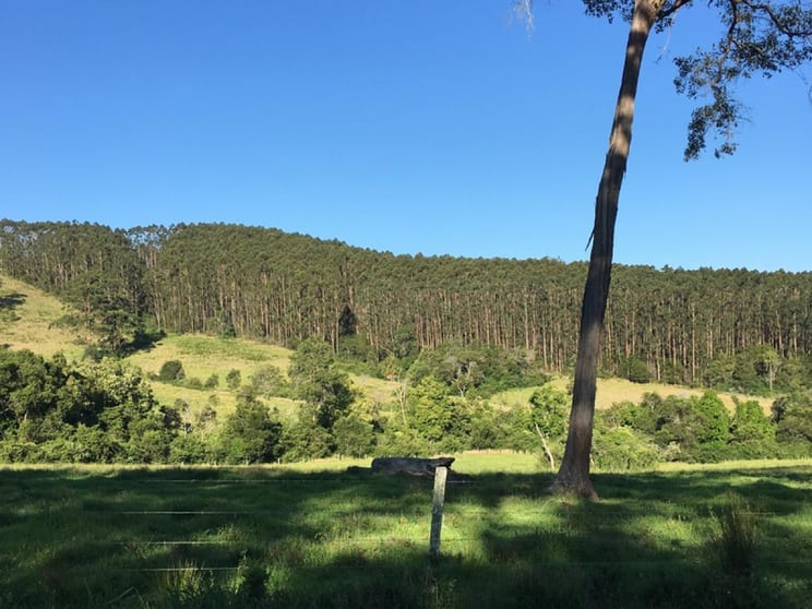 Click to view all images Lot 4 Elmar Road Wootton NSW 2423 - Image 2