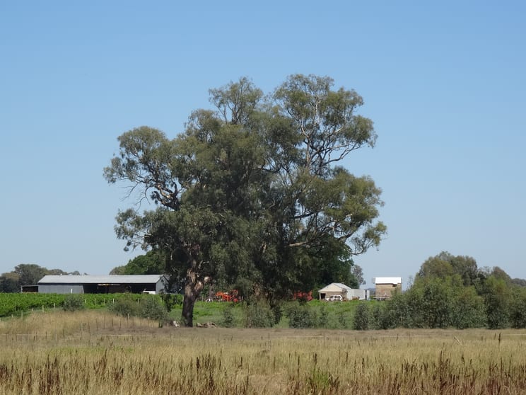 2035 Wangaratta-Whitfield Road Moyhu VIC 3732 - Image 2