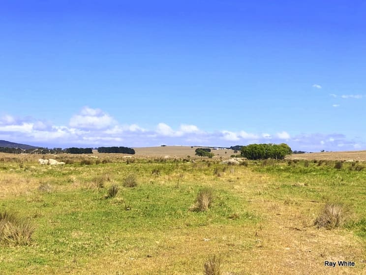 Click to view all images 5625 Kings Highway Braidwood NSW 2622 - Image 3