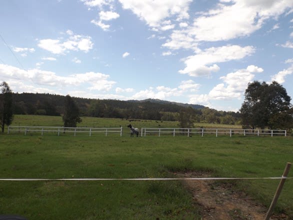 Click to view all images 288 Tabulam Rd Lower Bottle Creek NSW 2469 - Image 1