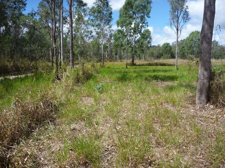 Click to view all images Lot 37 Wetherby Road Mount Molloy QLD 4871 - Image 1