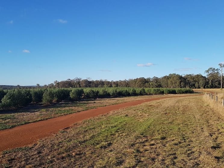 Click to view all images Kingaroy QLD 4610 - Image 1