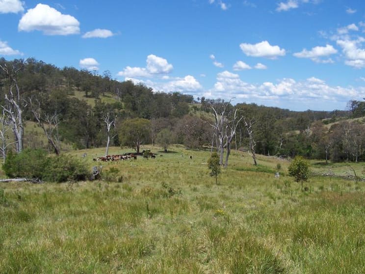Click to view all images Razorback Creek Rivertree NSW 2372 - Image 1