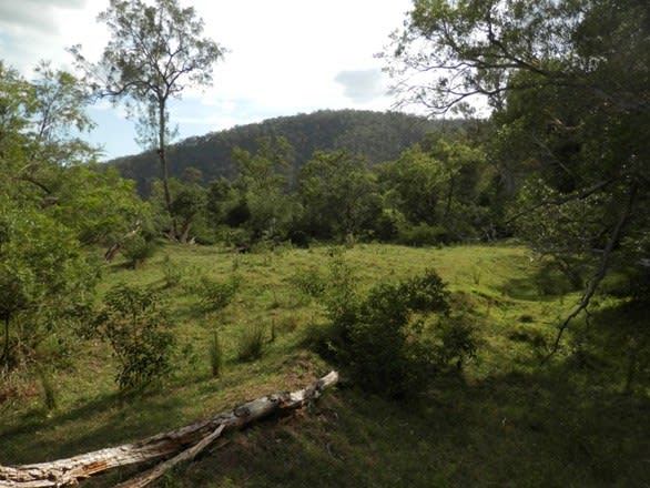 Click to view all images Lot 8/1534 Paddys Flat Rd Tabulam NSW 2469 - Image 3