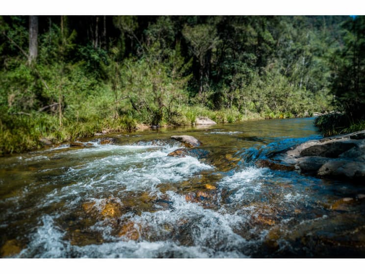 Click to view all images 2240 Darkwood Road Bellingen NSW 2454 - Image 3