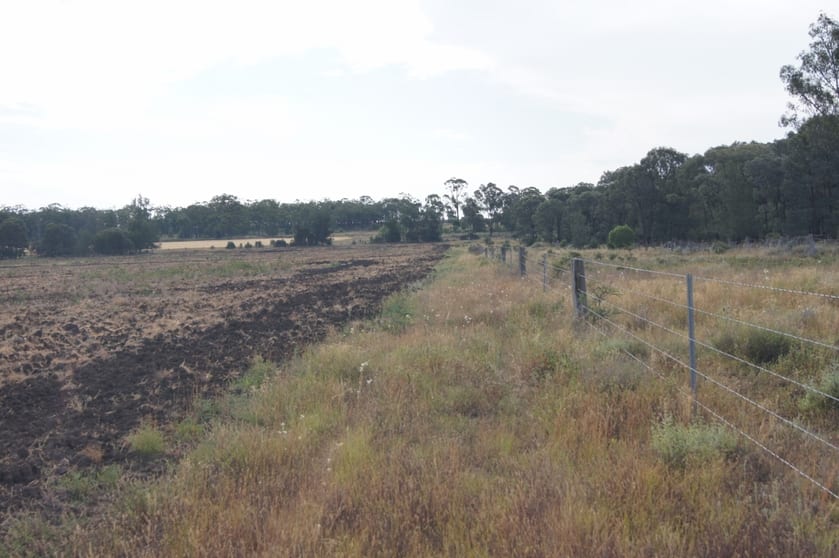 1043 ACRES BRIGALOW/BELAH Tara QLD 4421 - Image 3
