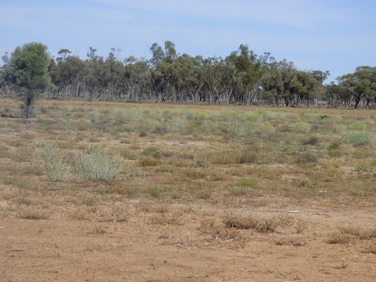Click to view all images Wyandra QLD 4489 - Image 2