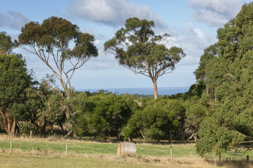 Click to view all images 305 Musk Creek Road Flinders VIC 3929 - Image 3