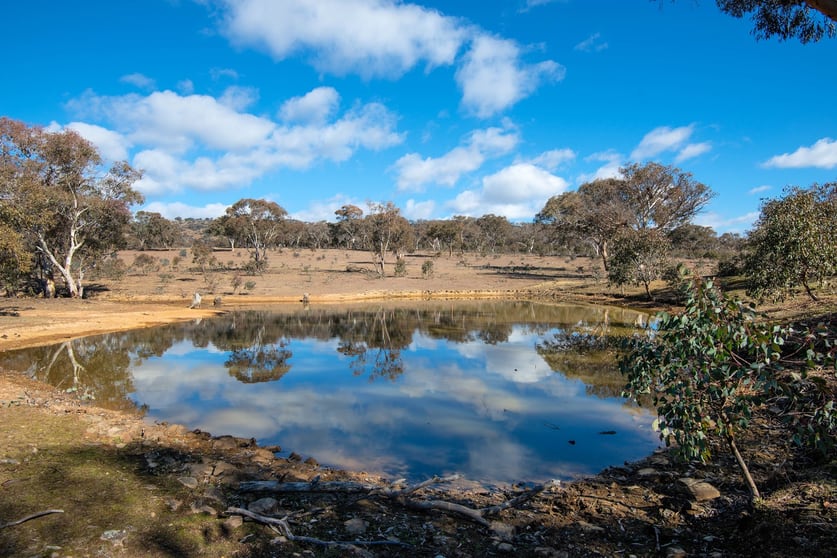 1638 Windeyer Road Mudgee NSW 2850 - Image 2