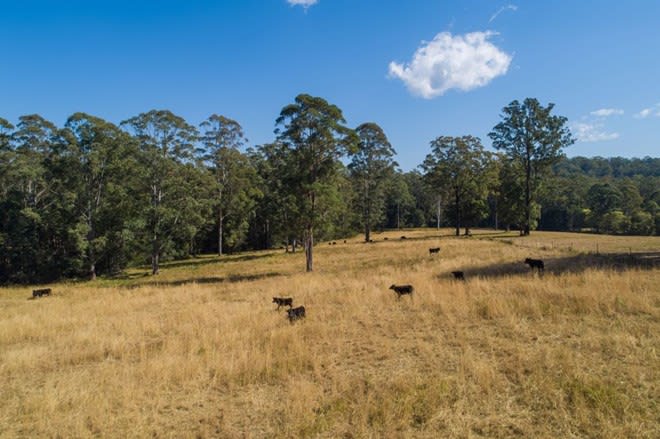 Click to view all images Beechwood NSW 2446 - Image 3