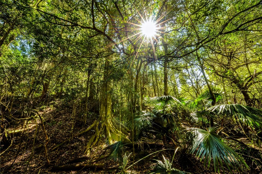 110 Jacks Corner Road Kangaroo Valley NSW 2577 - Image 2