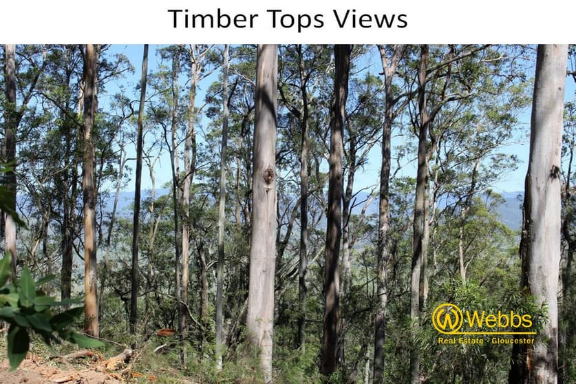 Lot 51 & 52 Mud Hut Road Gloucester NSW 2422 - Image 1
