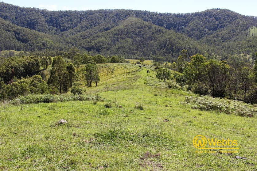 637 Bowman River Road Gloucester NSW 2422 - Image 1