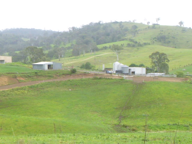 Click to view all images 1439 Buckajo Rd Buckajo NSW 2550 - Image 1