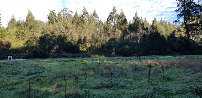 Click to view all images 3/ Albert River Road Wonyip VIC 3962 - Image 2