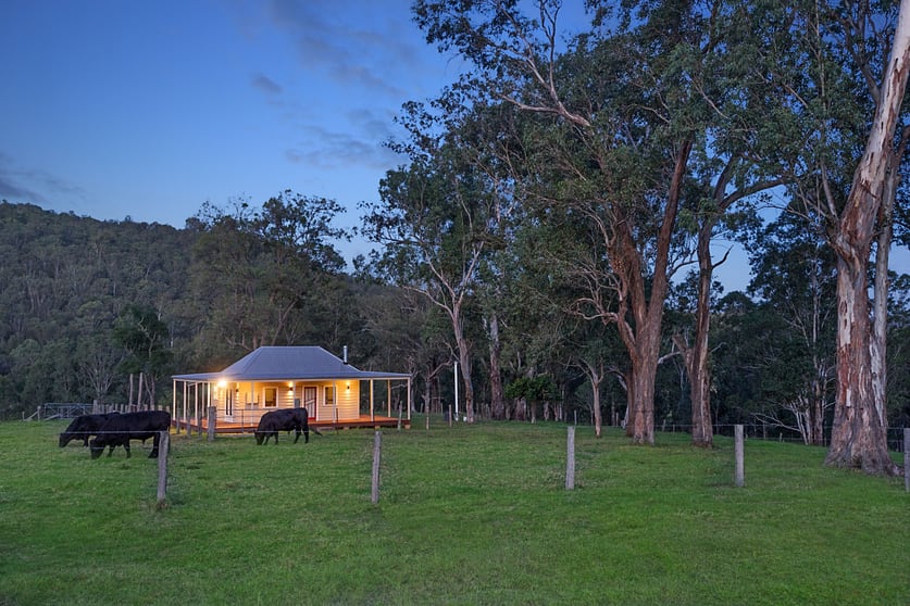 321 Masseys Creek Rd,Eccleston via, East Gresford NSW 2311 - Image 3
