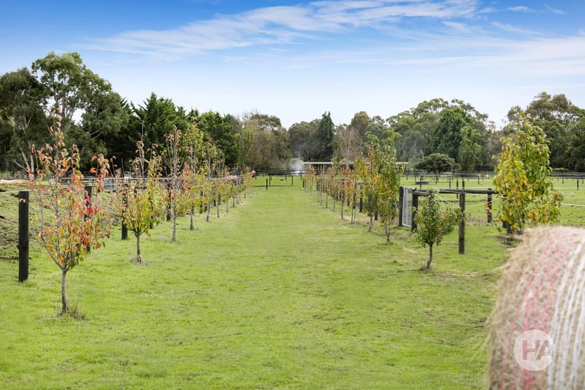 80 Queens Road Pearcedale VIC 3912 - Image 1