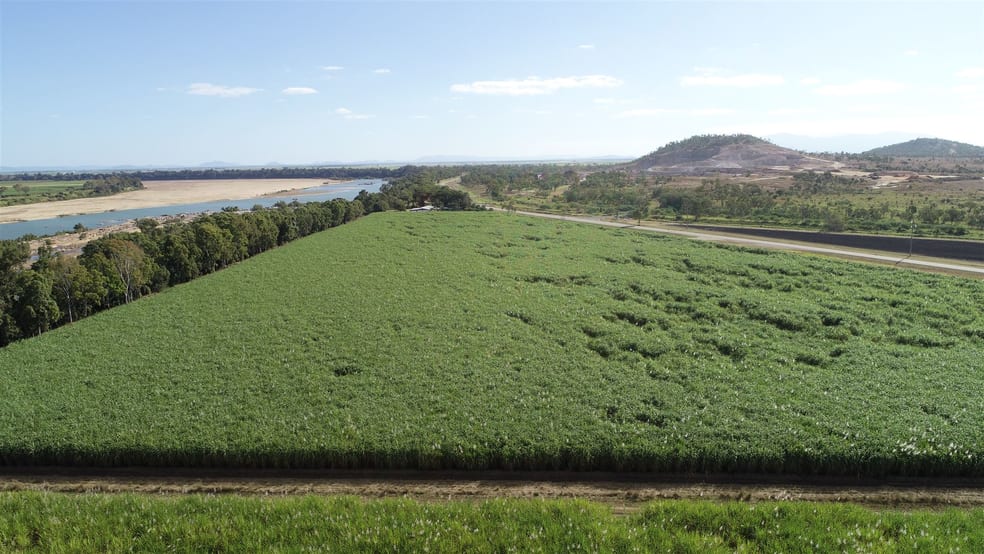 Click to view all images Mount Kelly QLD 4807 - Image 3
