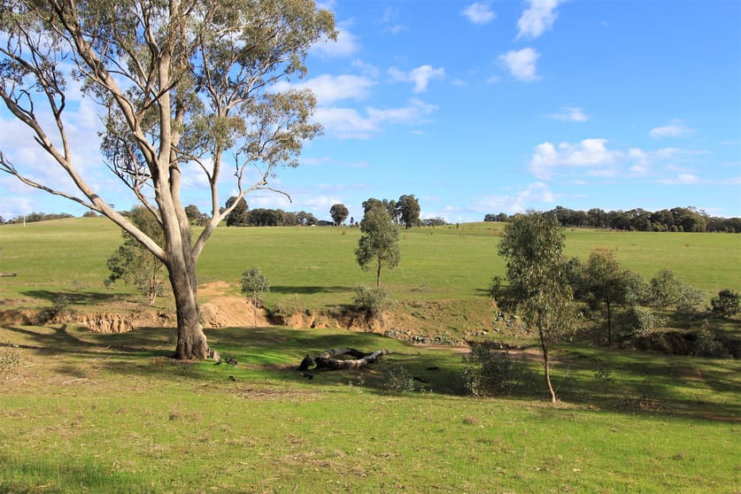 Click to view all images 910 Northern Highway Heathcote VIC 3523 - Image 2