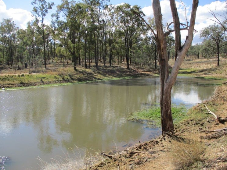 1264 ACRES BREEDER COUNTRY Durong QLD 4610 - Image 2