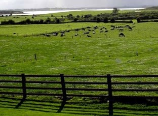 Click to view all images Rural & Farming business for sale in Shepparton - Image 1