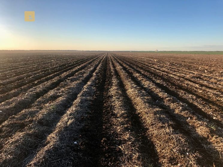 Click to view all images "Tarlee" Newell Highway Narrabri NSW 2390 - Image 3