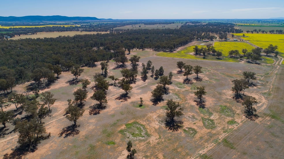 Click to view all images 885 Baldwins Road Temora NSW 2666 - Image 3