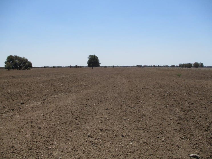 1870 ACRES FARMING AND GRAZING Hannaford QLD 4406 - Image 1