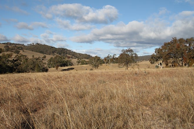 Click to view all images 962 Campbells Creek Road Mudgee NSW 2850 - Image 3