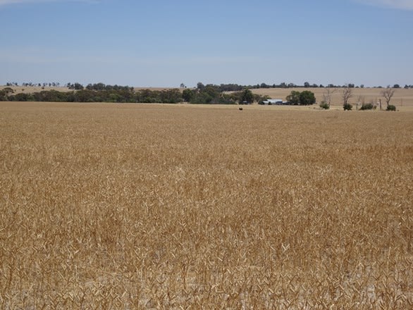 187 Yilliminning Rd Toolibin WA 6312 - Image 2