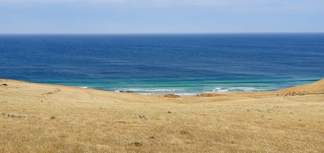 Click to view all images S1329 Coolawang Beach Road Waitpinga SA 5211 - Image 2