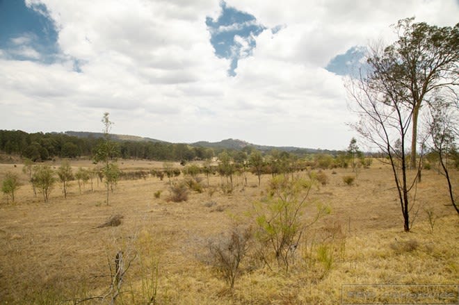186 Camp Road Greta NSW 2334 - Image 2