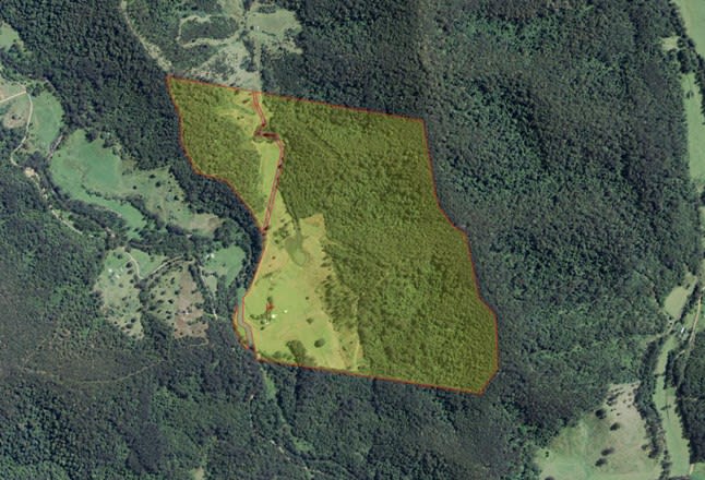 220 Berekovens Rd Upper Pappinbarra NSW 2446 - Image 1