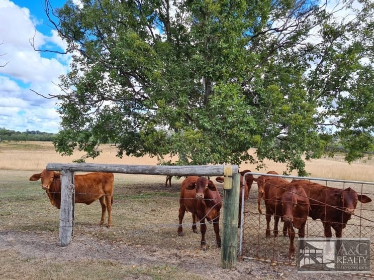 130 Pioneer Rd Grahams Creek QLD 4650 - Image 3