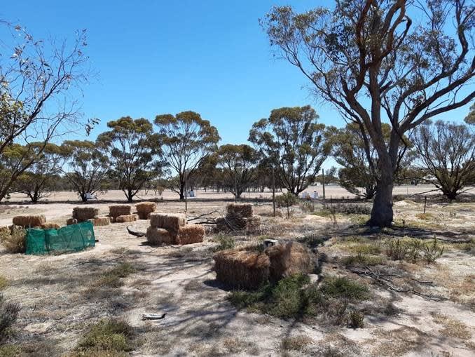 Click to view all images 824 Richards Street Wagin WA 6315 - Image 3