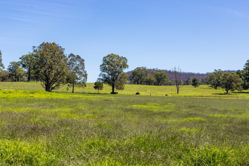 519 Pine Brush Road Glen William NSW 2321 - Image 2
