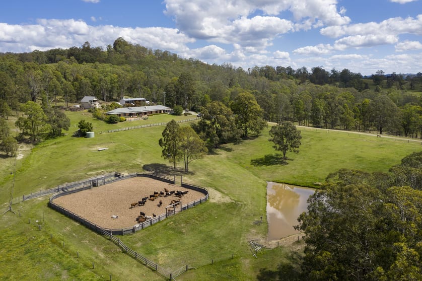 815 Glen William Road Glen William NSW 2321 - Image 3