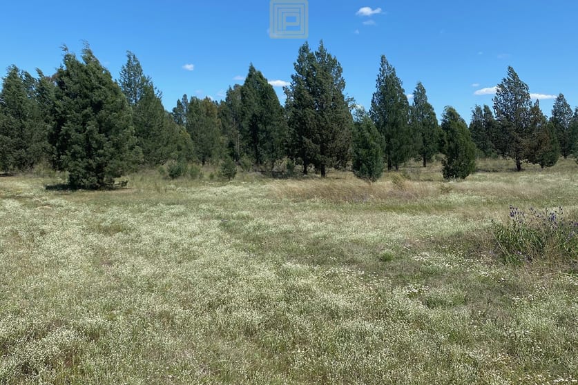 Click to view all images "Wandong" Beveridges Road Baradine NSW 2396 - Image 3