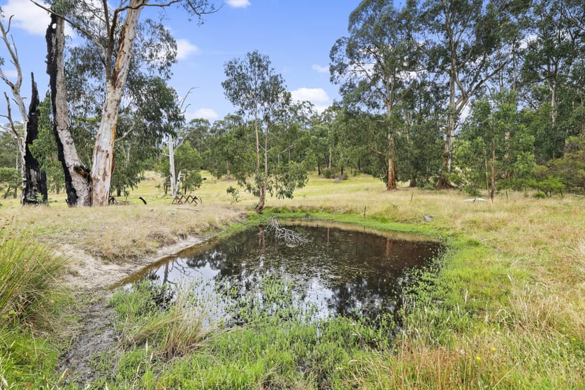 Click to view all images 325 FOREST ROAD Labertouche VIC 3816 - Image 2