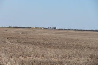 Click to view all images 301 Yagaburne - Boondandilla Rd Billa Billa QLD 4390 - Image 3