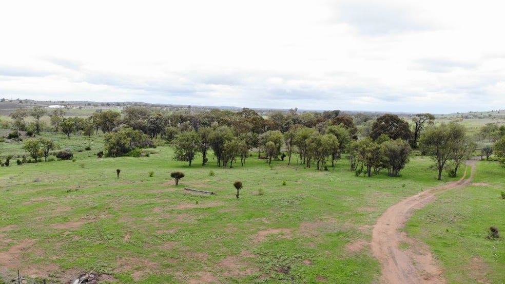 Click to view all images 31 ACRES LIFESTYLE PROPERTY Bell QLD 4408 - Image 3