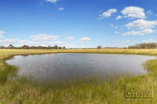 Click to view all images CA21 Axedale-Toolleen Road Toolleen VIC 3551 - Image 3