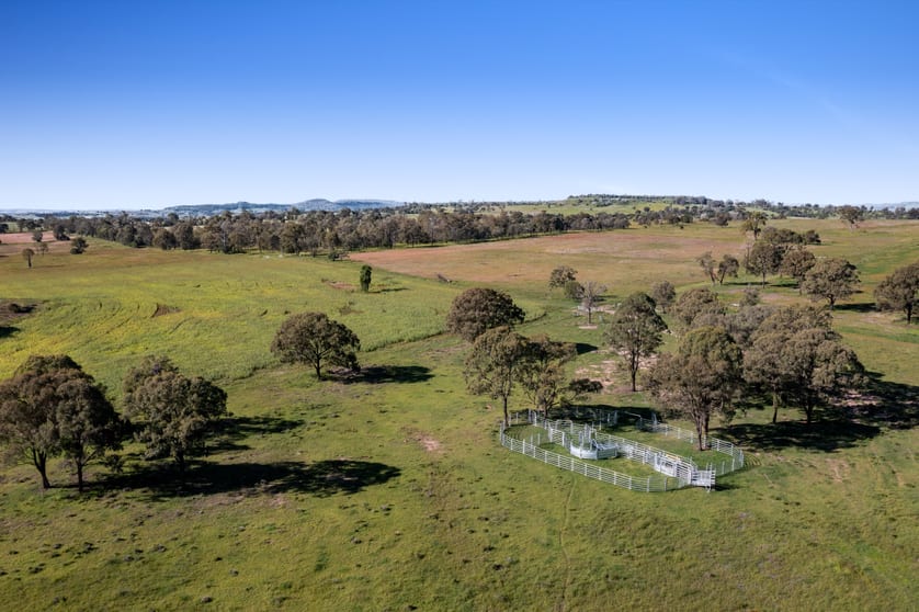 Click to view all images 230 ACRES, SCRUB SOIL GRAZING Peranga QLD 4352 - Image 1