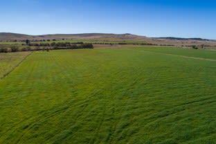 Click to view all images 1268 Gurrrundah Road Goulburn NSW 2580 - Image 2
