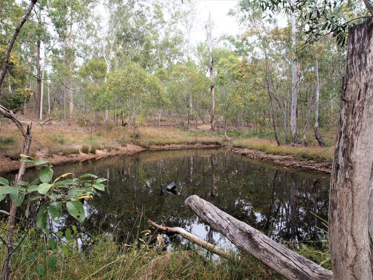 Click to view all images 451 NORTH SOUTH ROAD Kullogum QLD 4660 - Image 2