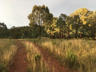 430 Sallys Flat Road Mudgee NSW 2850 - Image 2