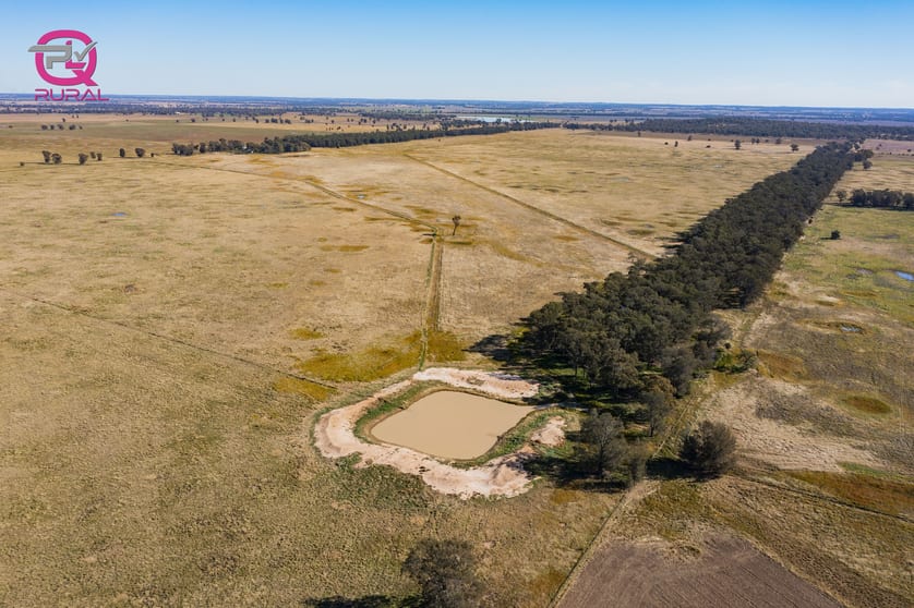 Click to view all images 376 Yiddah Road West Wyalong NSW 2671 - Image 2